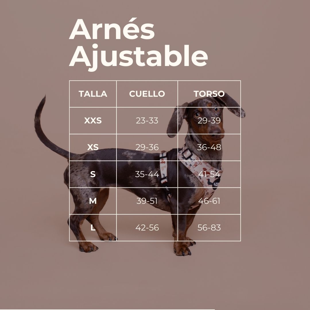 ACADEMIA - Arnés para perros ajustable