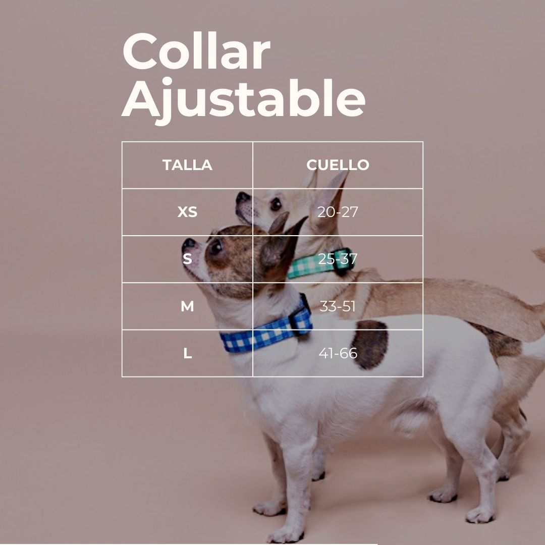 ACADEMIA - Collar para perros ajustable