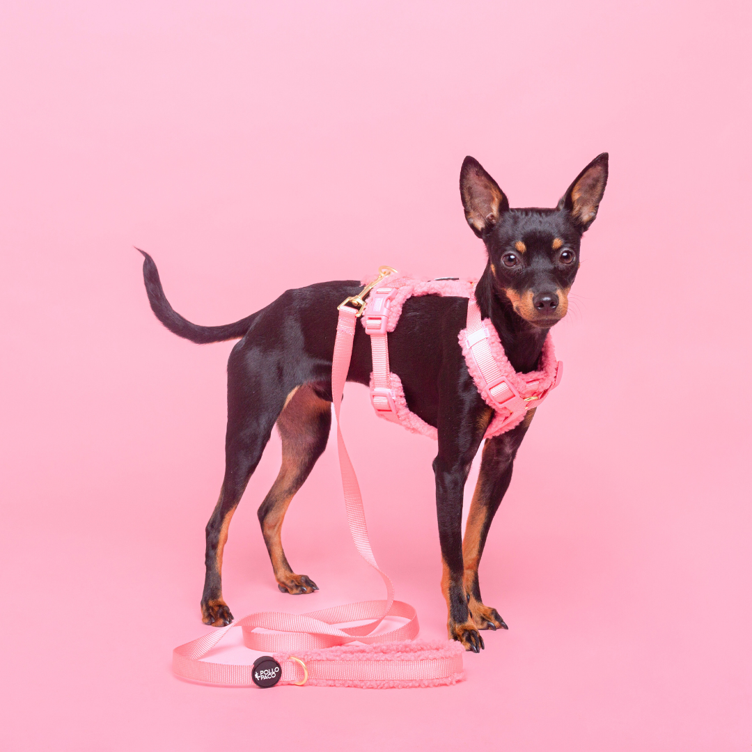 Correa Borreguito Rosa - Correa para perros de 1,50 metros
