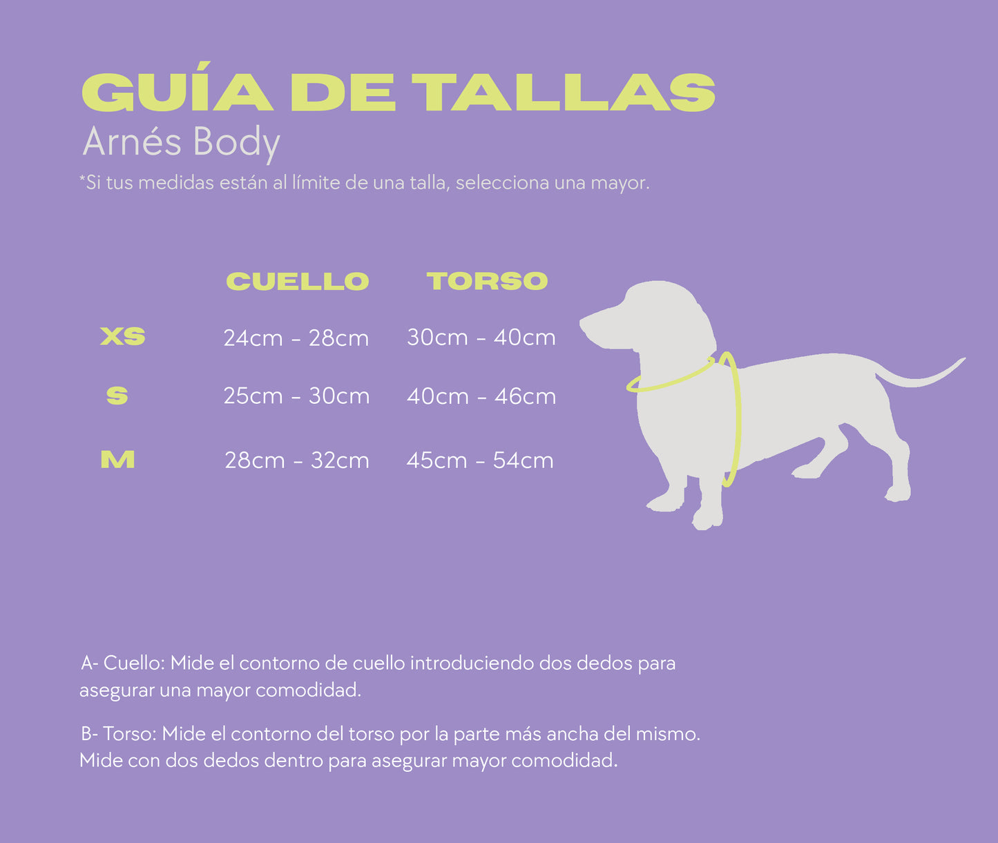 Arnés Body - VICHY MORADO