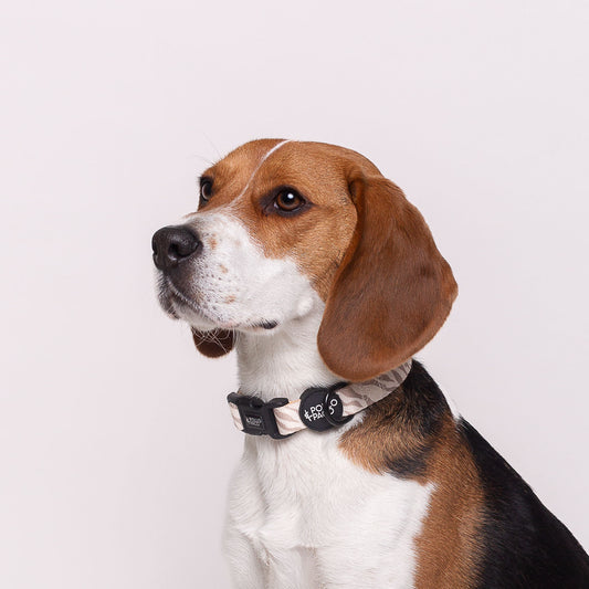 ZEBRA - Collar ajustable para perros