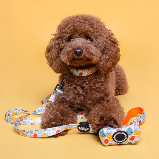 ANIMALS - Collar para perros ajustable