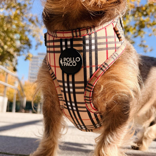 LONDON - Arnés ajustable para perros