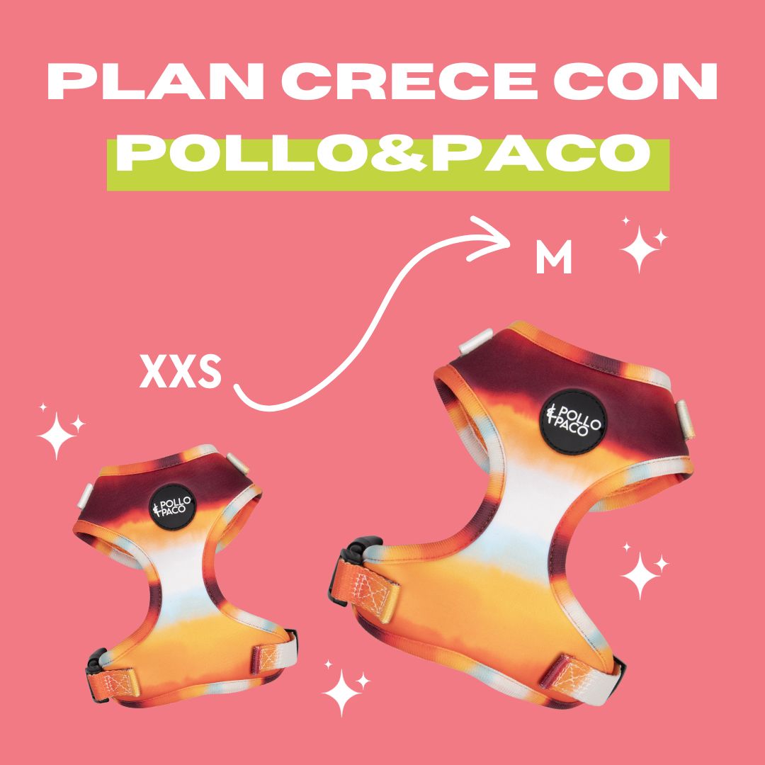 Plan Crece con Pollo&Paco