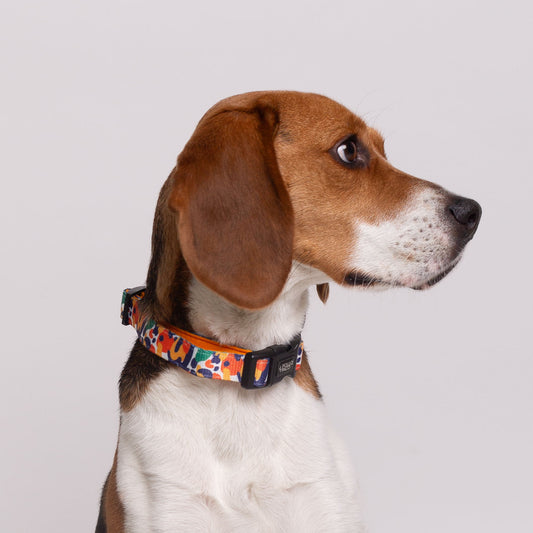 LEOPARD - Collar ajustable para perros