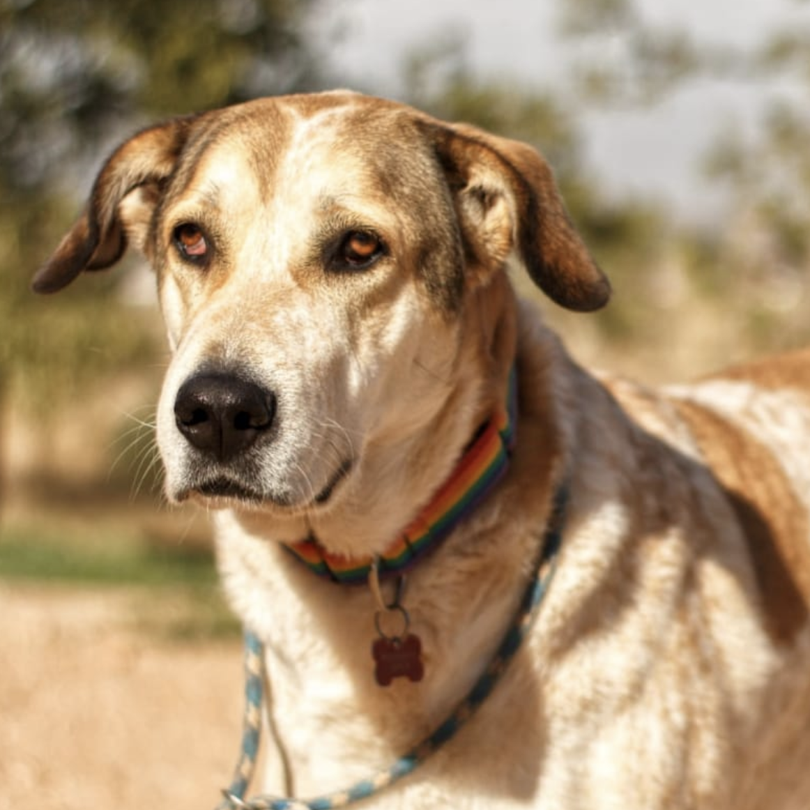 VALVINA - Donaciones