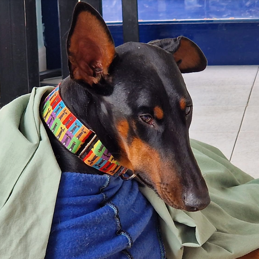 MIA - Donaciones