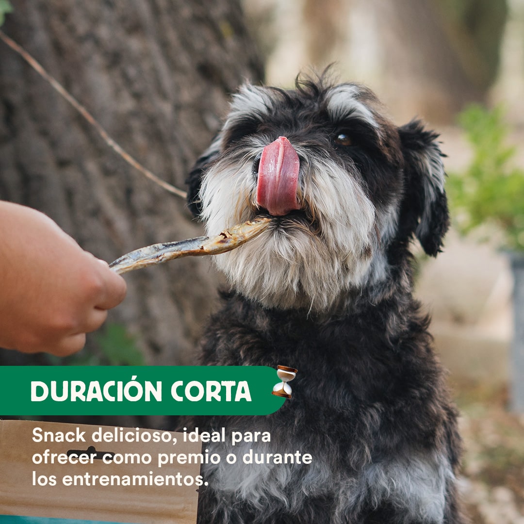 Boquerones deshidratados 40gr