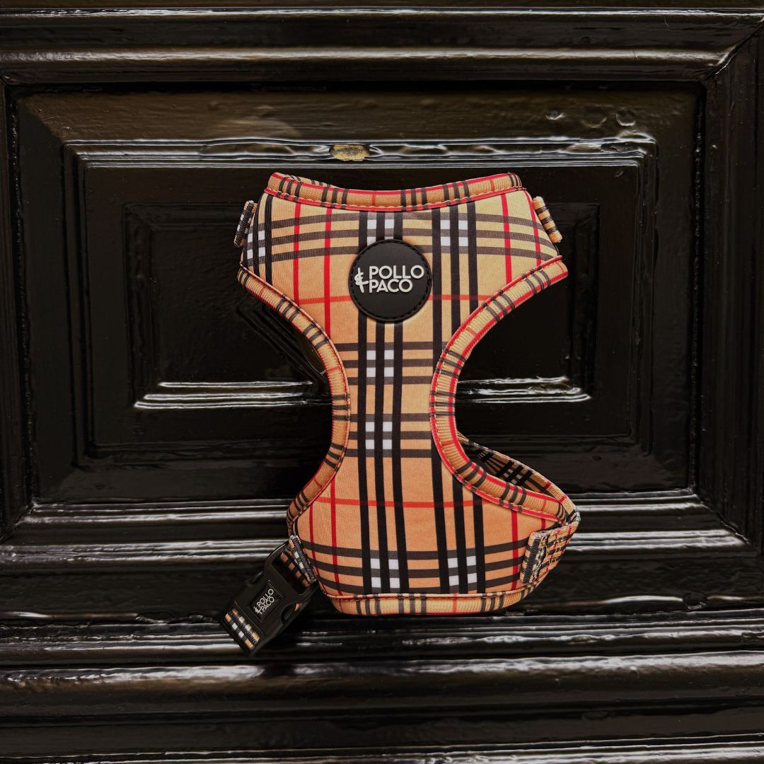 LONDON - Arnés ajustable para perros