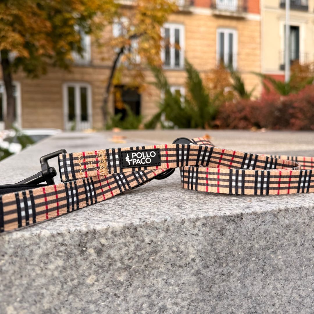 LONDON - Correa de 1,50 metros para perros