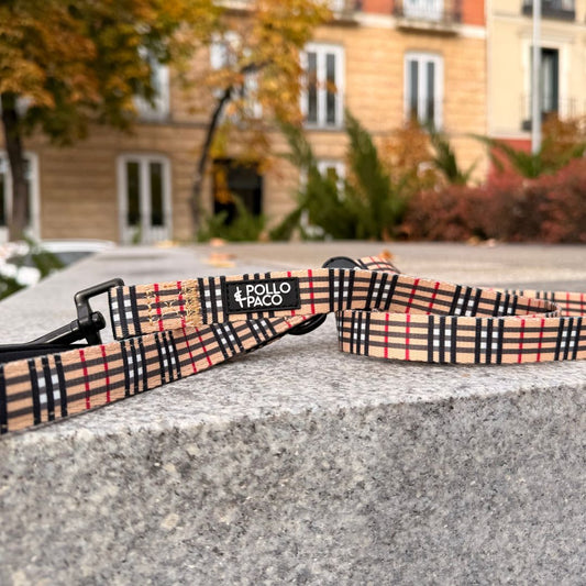 LONDON - Correa de 1,50 metros para perros