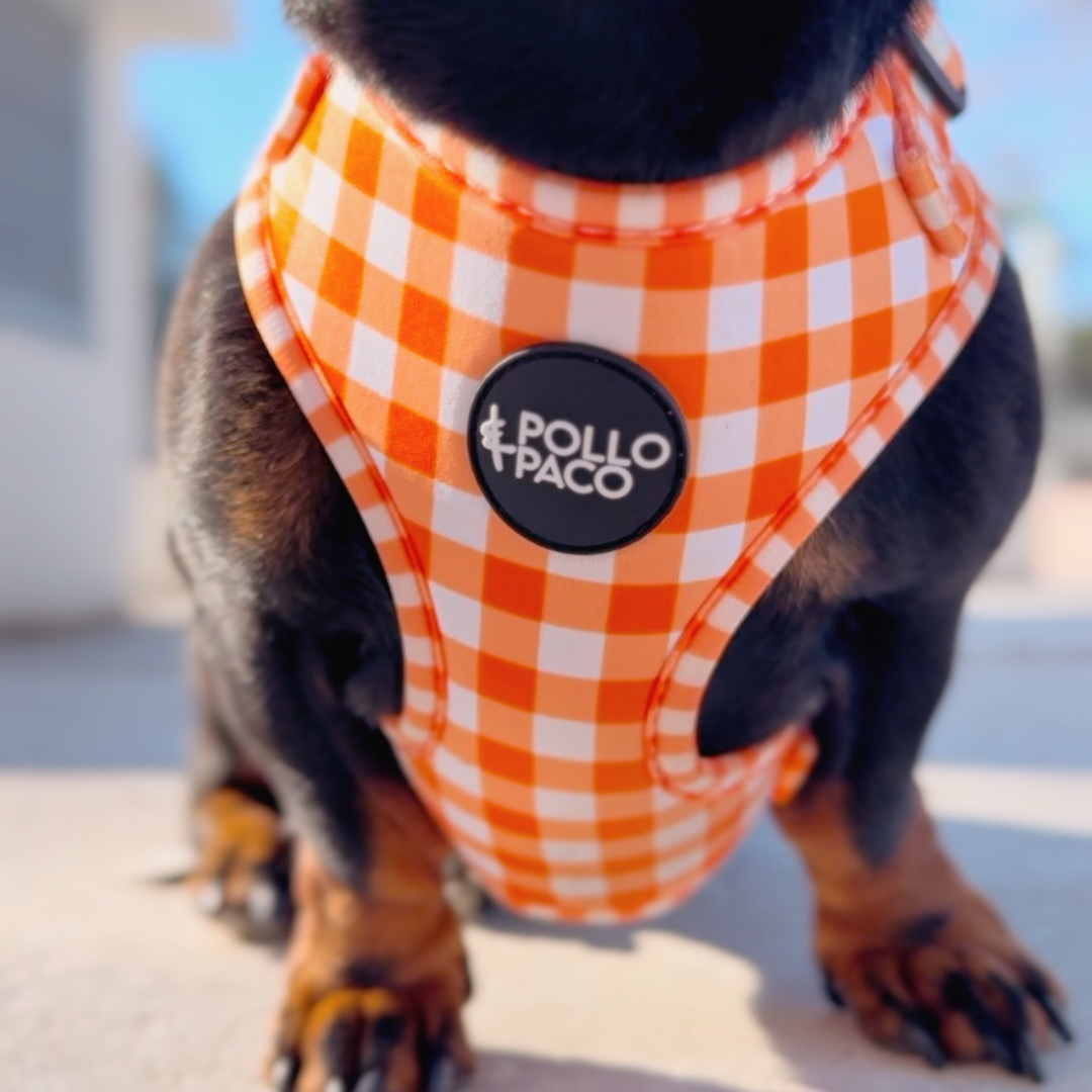 VICHY NARANJA - Arnés ajustable para perros