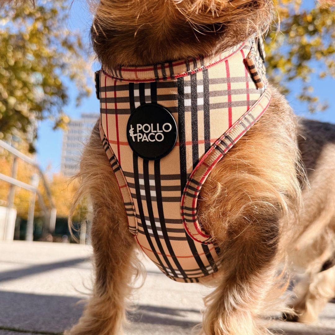 LONDON - Arnés ajustable para perros