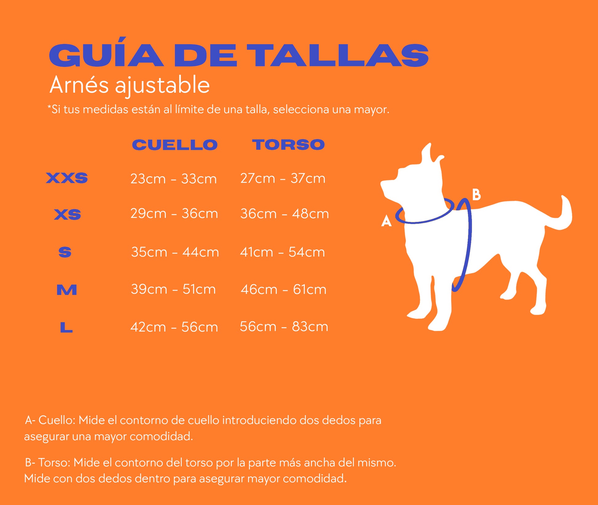 ZEBRA - Arnés ajustable para perros – Pollo & Paco