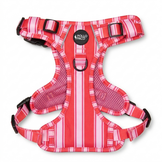 Arnés Adventure Pro - STRIPES