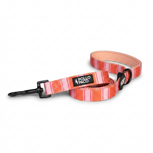 STRIPES - Correa de 1,50 metros para perros