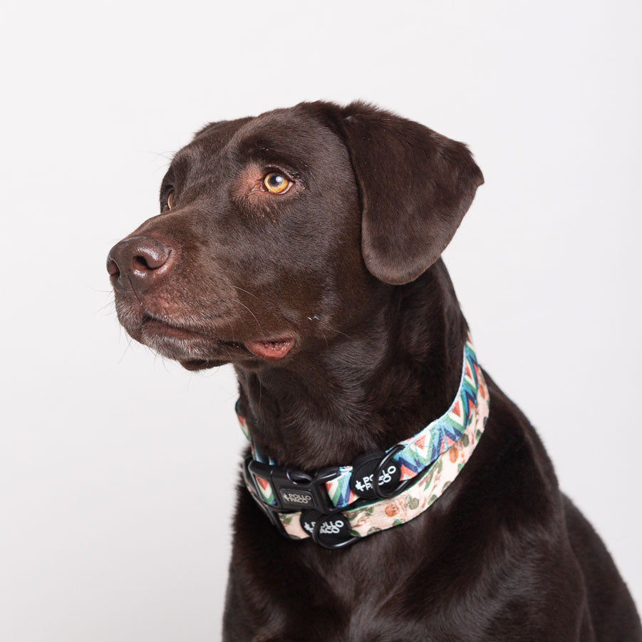 RETRO - Collar ajustable para perros