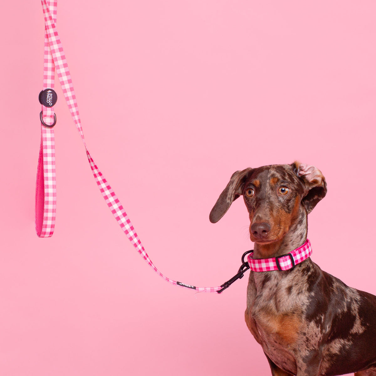 Collar De Navidad Para Perros Con Pajarita - Ajustable Y Suave Para Perros Pequeños, Medianos Y Grandes