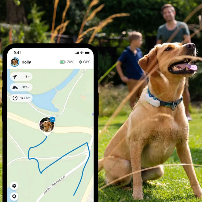 Collar GPS para perros